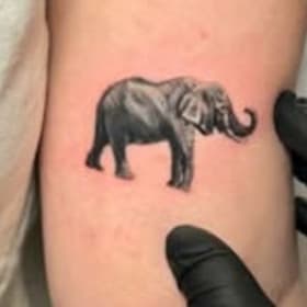 Gift Certificate from Dan Tattoo @danzerart item