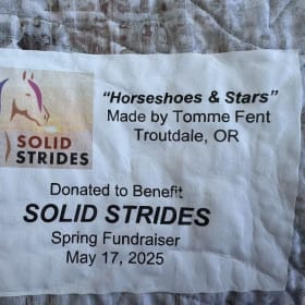 Quilt: "Horseshoes and Stars" item