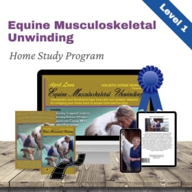 Equine Musculoskeletal Unwinding Online Course - April Love item
