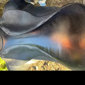 2013 Custom Saddlery Everest R. item