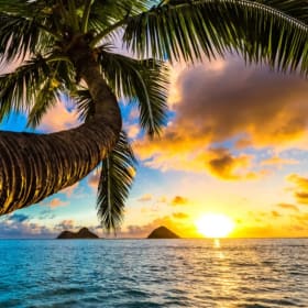 Hawaii Getaway item