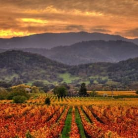 Napa Valley, California Getaway item