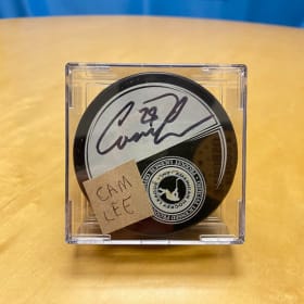 Collection of 10 SIGNED AHL Hockey Pucks item