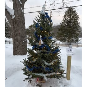 Tree #39 - Lighthouse Realty item