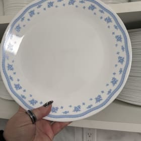 Dish rental item
