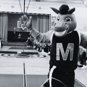 Mighty Mike Platinum item