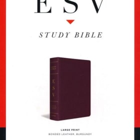 LARGE PRINT: ESV STUDY (BURGUNDY BONDED LEATHER) item