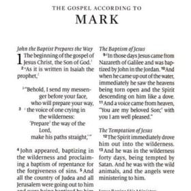 LARGE PRINT: ESV PERSONAL (MAHOGANY SYNTHETIC LEATHER) item