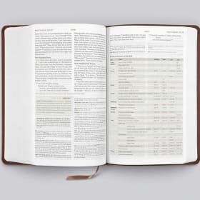 STUDY BIBLE: ESV STUDENT (NAVY/SLATE IMITATION LEATHER) item