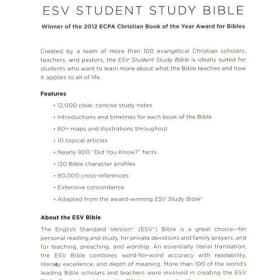 STUDY BIBLE: ESV STUDENT (NAVY/SLATE IMITATION LEATHER) item