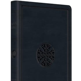 LARGE PRINT: ESV VALUE THINLINE (NAVY SYNTHETIC LEATHER) item