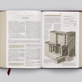 LARGE PRINT: ESV STUDY (BURGUNDY BONDED LEATHER) item