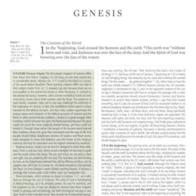 STUDY BIBLE: ESV (BURGUNDY LEATHER) item