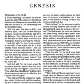 VALUE BIBLE: ESV THINLINE (CHESTNUT FILIGREE DESIGN) item