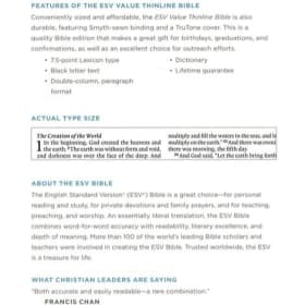 VALUE BIBLE: ESV THINLINE (CHESTNUT FILIGREE DESIGN) item