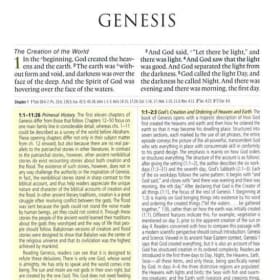 LARGE PRINT: ESV STUDY (BURGUNDY BONDED LEATHER) item