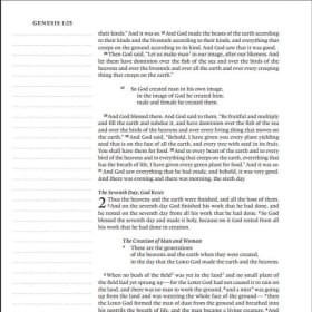 JOURNALING BIBLE: ESV 1-COLUMN (CHESTNUT SYNTHETIC LEATHER) item