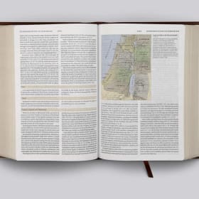 STUDY BIBLE: ESV PERSONAL (FOREST/TAN SYNTHETIC LEATHER) item