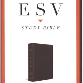 STUDY BIBLE: ESV W/INDEX (BURGUNDY LEATHER) item