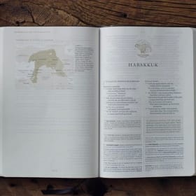 STUDY BIBLE: ESV MEN'S (BROWN/CORDOVAN SYNTHETIC LEATHER) item