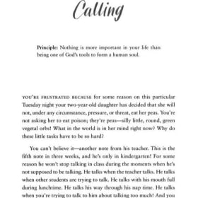 CHRISTIAN LIFE: PARENTING--14 GOSPEL PRINCIPLES.... item