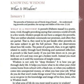 CHRISTIAN LIFE: GOD'S WISDOM FOR NAVIGATING LIFE item