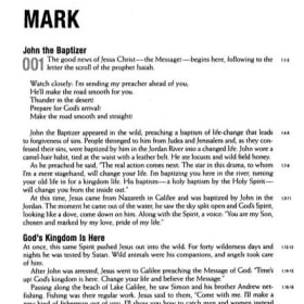 THE MESSAGE BIBLE (BLACK SYNTHETIC LEATHER) item