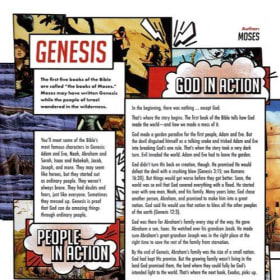 YOUNG READERS: ESV ACTION STUDY BIBLE (ORANGE SYNTHETIC) item