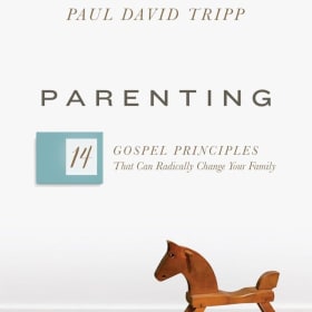 CHRISTIAN LIFE: PARENTING--14 GOSPEL PRINCIPLES.... item