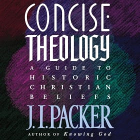 CHRISTIAN LIFE: CONCISE THEOLOGY item
