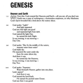 THE MESSAGE BIBLE (BLACK SYNTHETIC LEATHER) item