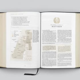 STUDY BIBLE: ESV MEN'S (BROWN/CORDOVAN SYNTHETIC LEATHER) item