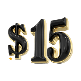 $15 Item item