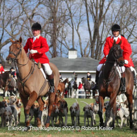 Shadow the Whipper-In! item