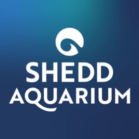 🐠 Shedd Aquarium - PARKING item