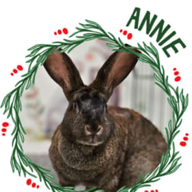 Honorary Adoption item