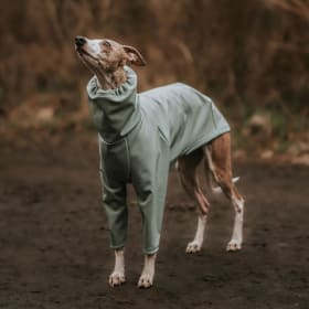 LÈ PUP Raincoat or Rainsuit item
