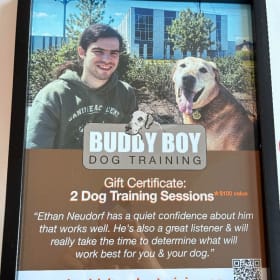 Dog Training Sessions item