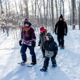 Raquettes (adultes) item