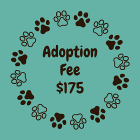 Adoption Fee item