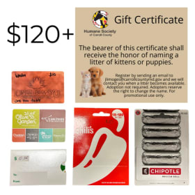 #1 $120 in gift cards & Name a Litter of Puppies or Kittens item