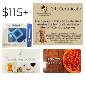 #4 Spotlight on Taneytown + Walmart + Name a HSCC Litter item