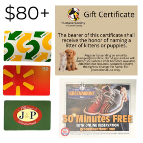 #10 Hampstead Gift Cards + Name A Litter item