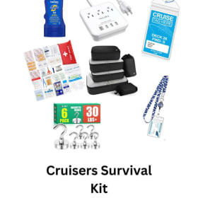 Cruise Survival Kit item