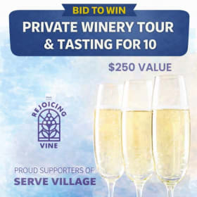 006- Rejoicing Vine Tour item