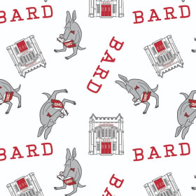 Bardvark Wrapping Paper item