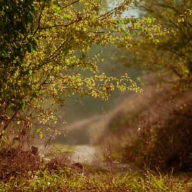 Quand le silence prend parole (par rencontre) item