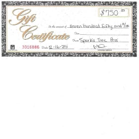 $750 Sparks Tire Pros Gift Certificate item