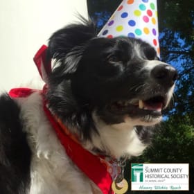 Rubber Back Coasters item