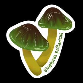 Parrot Toadstool Sticker item